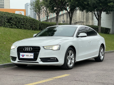 2015年1月 奥迪 奥迪A5(进口) Sportback 45 TFSI图片