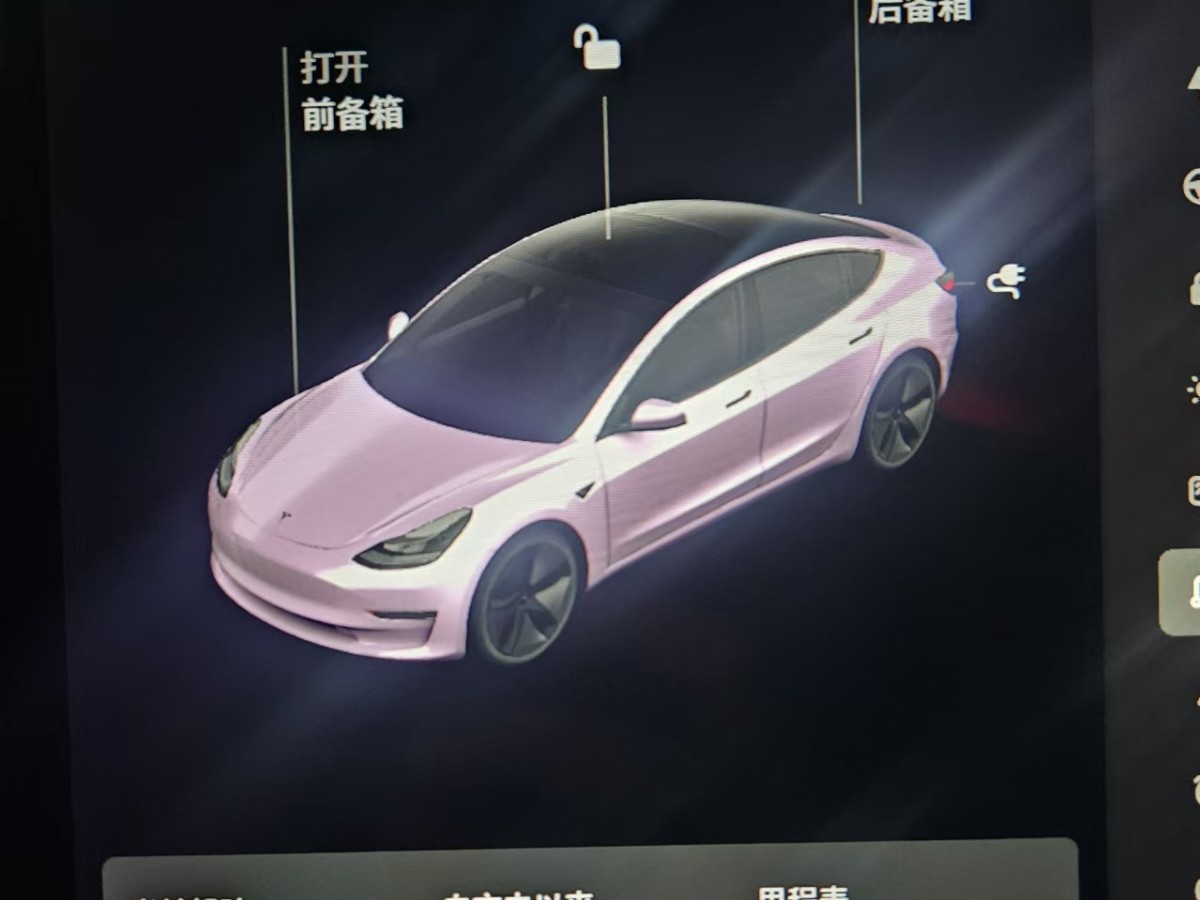 2021年6月特斯拉 Model 3  2021款 標(biāo)準(zhǔn)續(xù)航后驅(qū)升級(jí)版 3D6