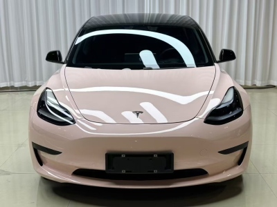 2021年01月 特斯拉 Model 3 標(biāo)準(zhǔn)續(xù)航后驅(qū)升級版圖片