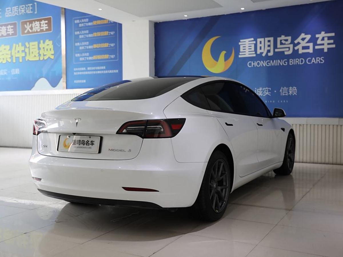 特斯拉 Model 3  2021款 改款 標準續(xù)航后驅(qū)升級版圖片