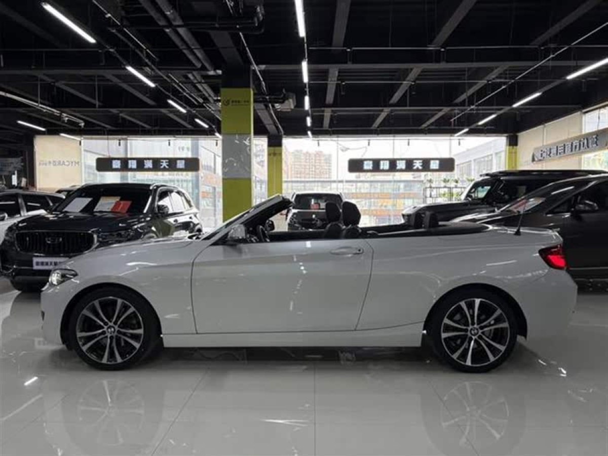 寶馬 寶馬2系  2019款  225i 敞篷轎跑車 運動設(shè)計套裝圖片
