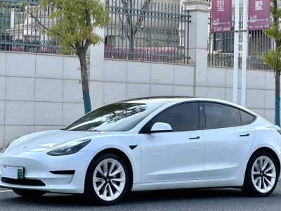 2022年01月 特斯拉 Model 3 標(biāo)準(zhǔn)續(xù)航后驅(qū)升級(jí)版 3D6圖片