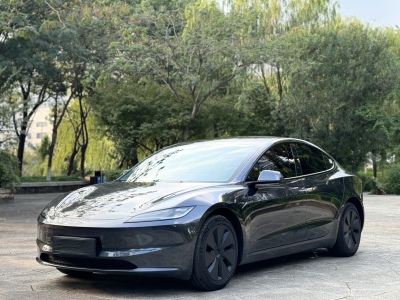 2024年07月 特斯拉 Model 3 后輪驅動版圖片