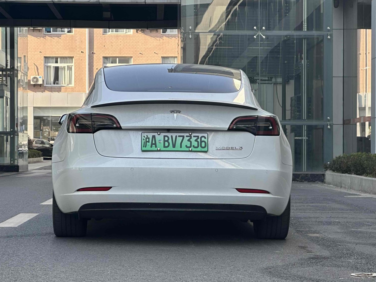 特斯拉 Model 3  2019款 Performance高性能全輪驅(qū)動版圖片