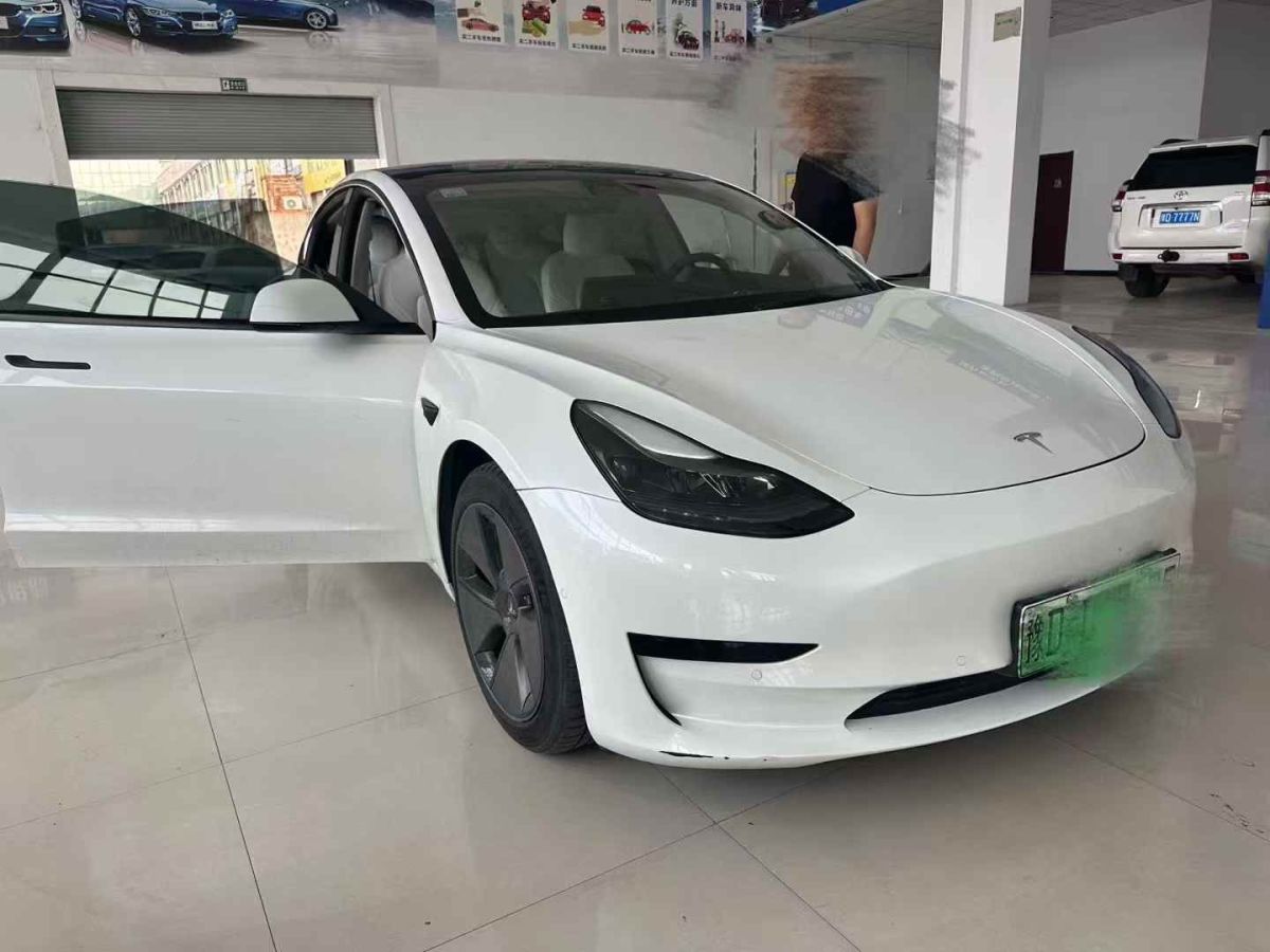 特斯拉 Model S  2021款 Performance 高性能版圖片