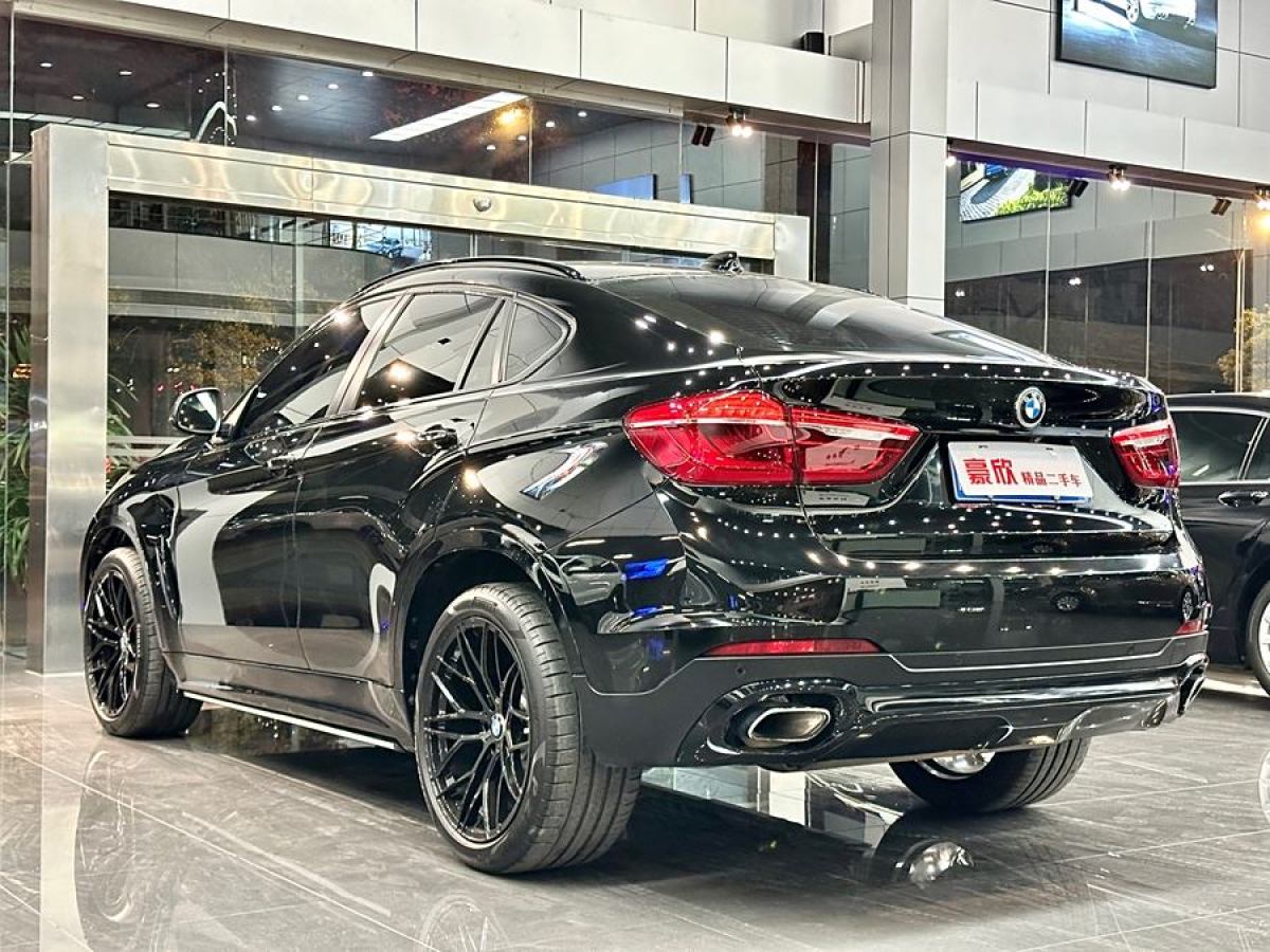 寶馬 寶馬X6  2018款 xDrive35i 領(lǐng)先型圖片