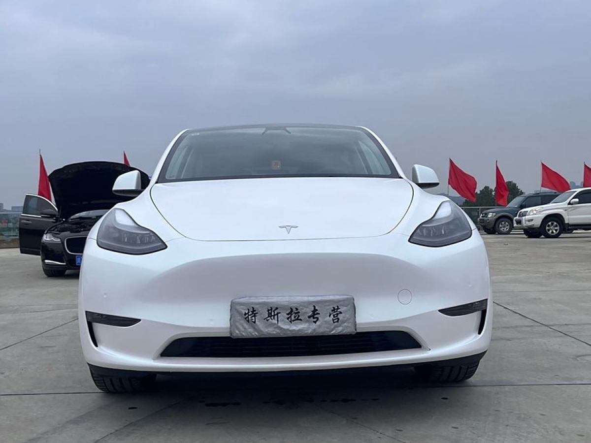 特斯拉 Model Y  2021款 改款 標準續(xù)航后驅(qū)升級版圖片