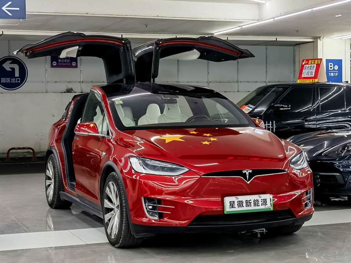 特斯拉 Model X  2019款 長續(xù)航版圖片