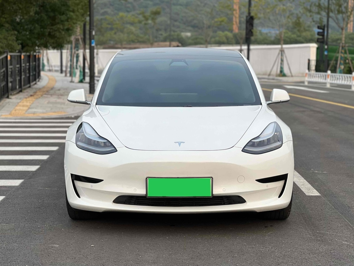 2020年11月特斯拉 Model 3  2019款 標(biāo)準(zhǔn)續(xù)航后驅(qū)升級(jí)版