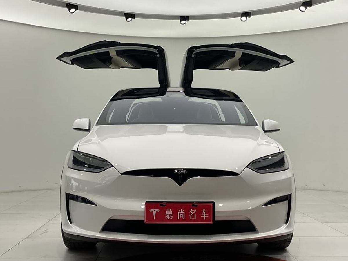 特斯拉 Model X  2023款 雙電機(jī)全輪驅(qū)動(dòng)版圖片