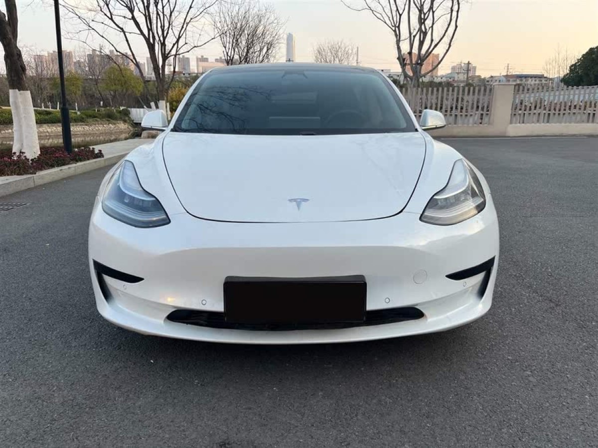 特斯拉 Model 3  2020款 改款 標準續(xù)航后驅(qū)升級版圖片
