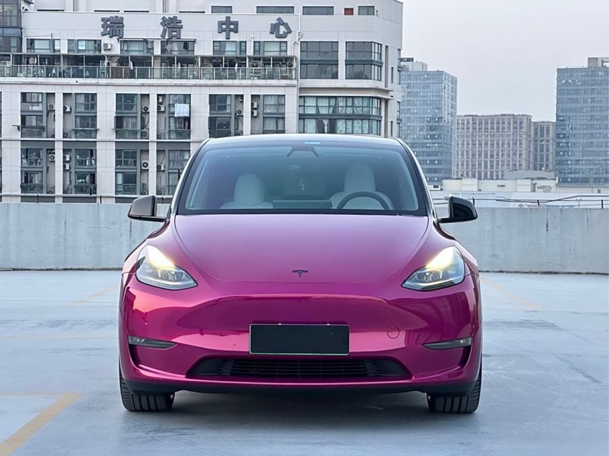 特斯拉 Model 3  2022款 Performance高性能全輪驅(qū)動(dòng)版圖片