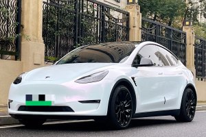 Model Y 特斯拉 Performance高性能全輪驅(qū)動(dòng)版