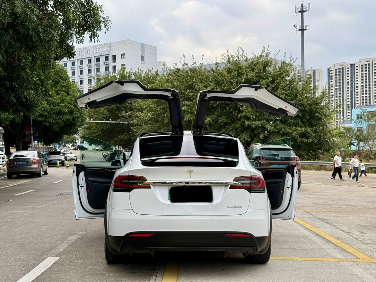 特斯拉 Model X  2019款 Performance 高性能版圖片