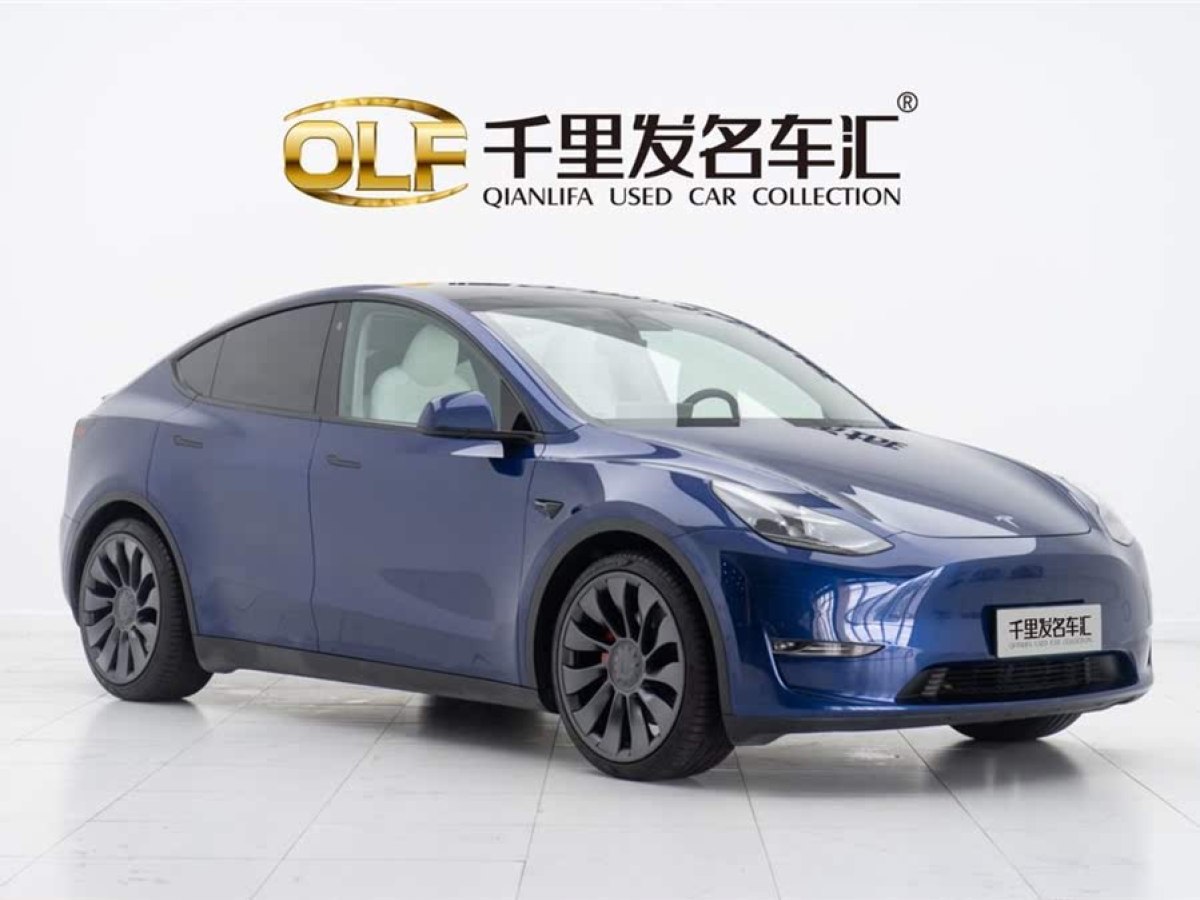 特斯拉 Model Y  2023款 高性能全輪驅(qū)動版圖片