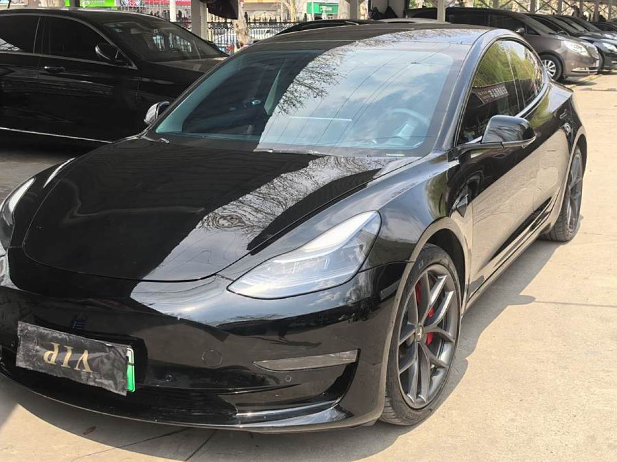 2021年6月特斯拉 Model 3  2021款 Performance高性能全輪驅(qū)動版 3D6