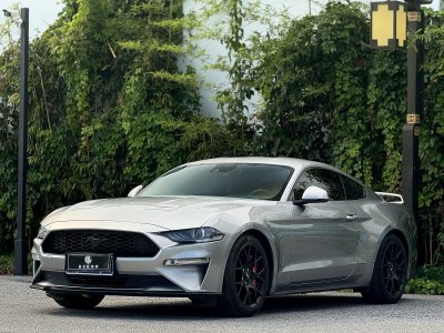 2021年6月 福特 Mustang(進(jìn)口) 2.3L EcoBoost 馳影性能進(jìn)階版圖片