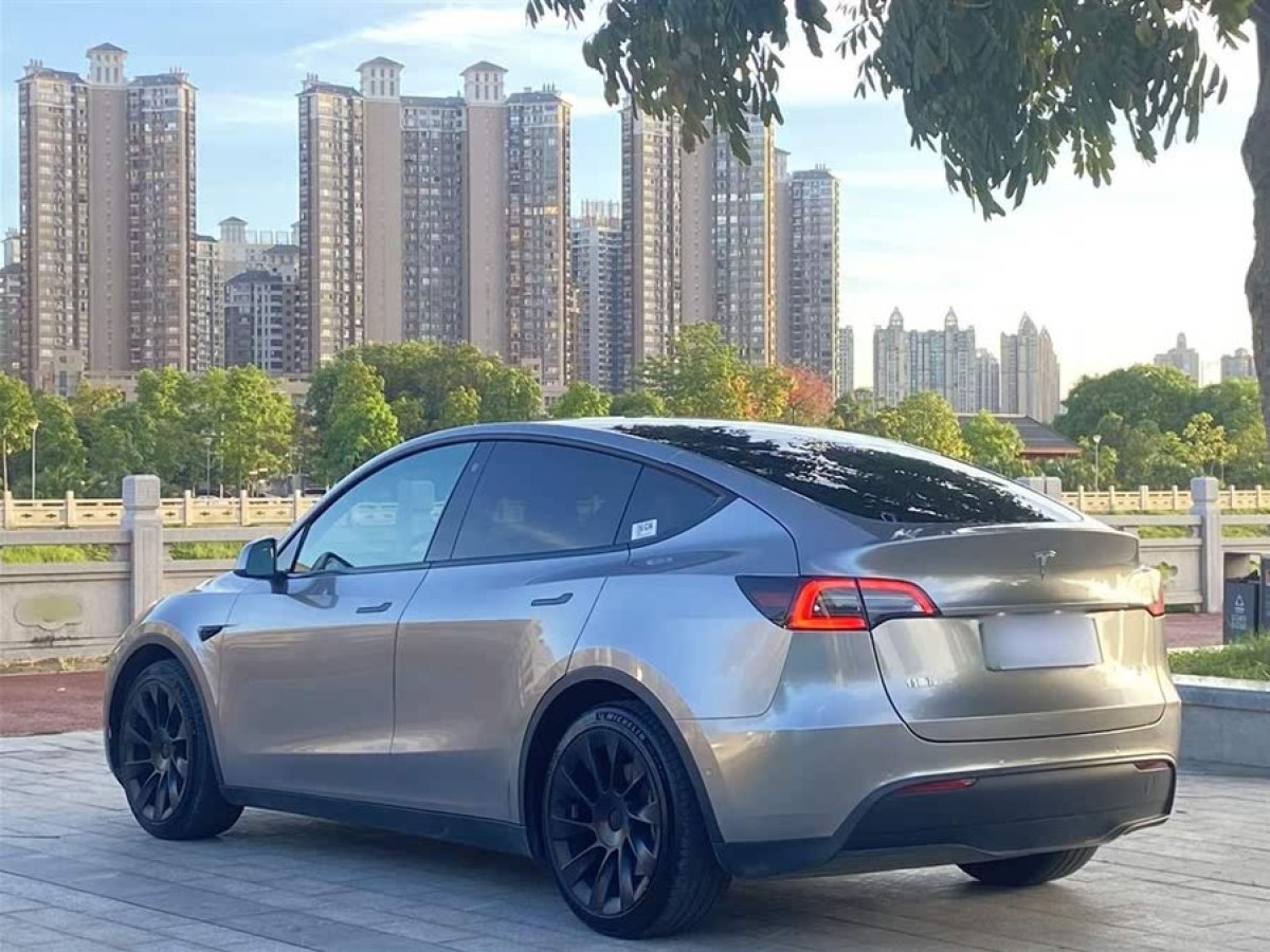 特斯拉 Model Y  2021款 標(biāo)準(zhǔn)續(xù)航后驅(qū)版圖片