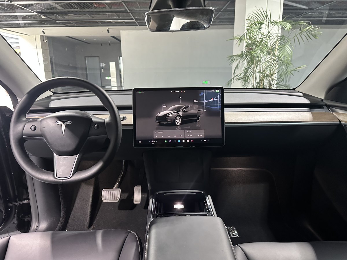 特斯拉 Model Y  2020款 改款 長續(xù)航后輪驅(qū)動版圖片