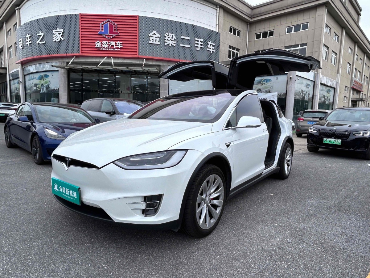 特斯拉 Model X  2019款 Performance 高性能版圖片