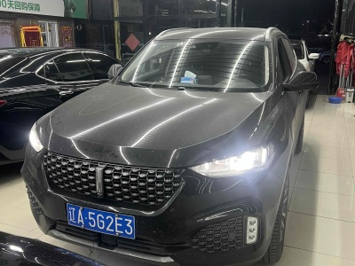 2020年5月 WEY VV6 2.0T 兩驅(qū)智享+圖片