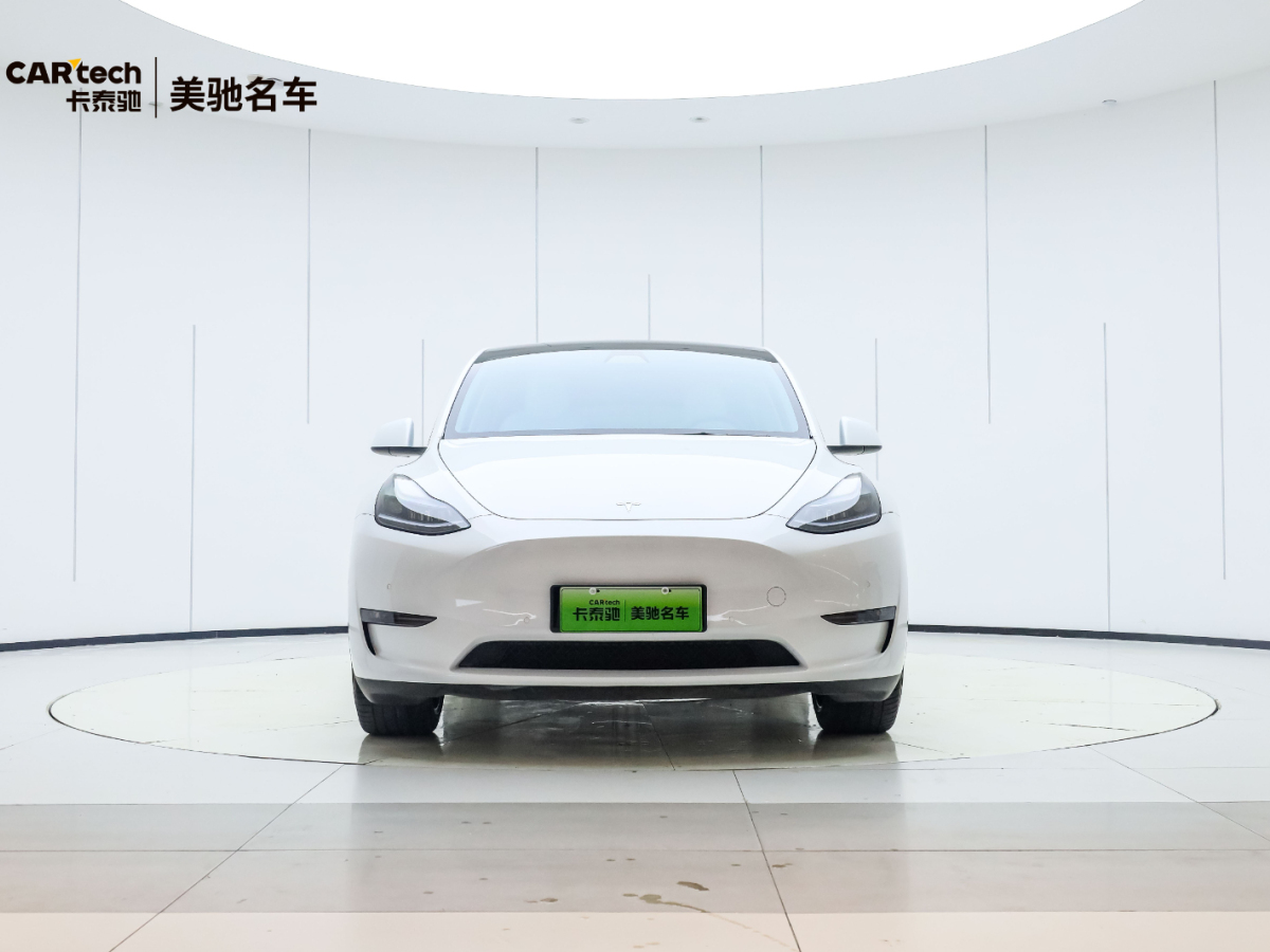 特斯拉 Model Y  2020款 Performance高性能全輪驅(qū)動(dòng)版圖片