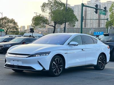 2021年2月 比亚迪 汉 EV 四驱高性能版旗舰型图片