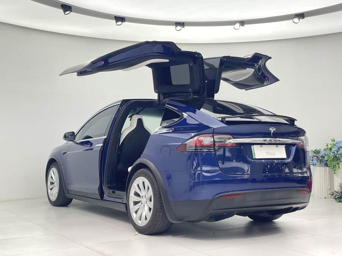 特斯拉 Model X  2017款 Model X 100D 長(zhǎng)續(xù)航版圖片