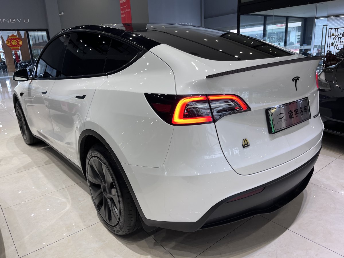 特斯拉 Model Y  2020款 改款 長(zhǎng)續(xù)航后輪驅(qū)動(dòng)版圖片