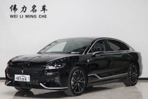 嵐圖追光 嵐圖 PHEV 四驅(qū)超長續(xù)航旗艦版