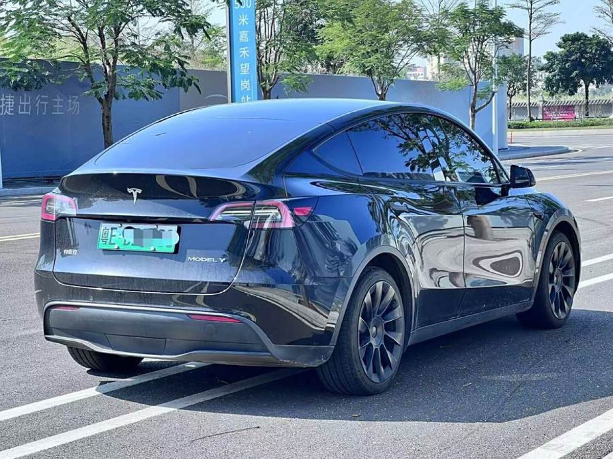 特斯拉 Model 3  2021款 改款 標準續(xù)航后驅(qū)升級版圖片