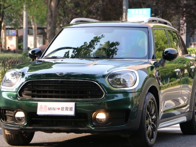 2019年5月 MINI COUNTRYMAN 1.5T COOPER ALL4 藝術(shù)家圖片
