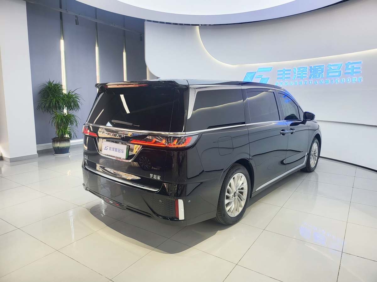 嵐圖 夢想家  2024款 PHEV 超長續(xù)航尊貴版圖片