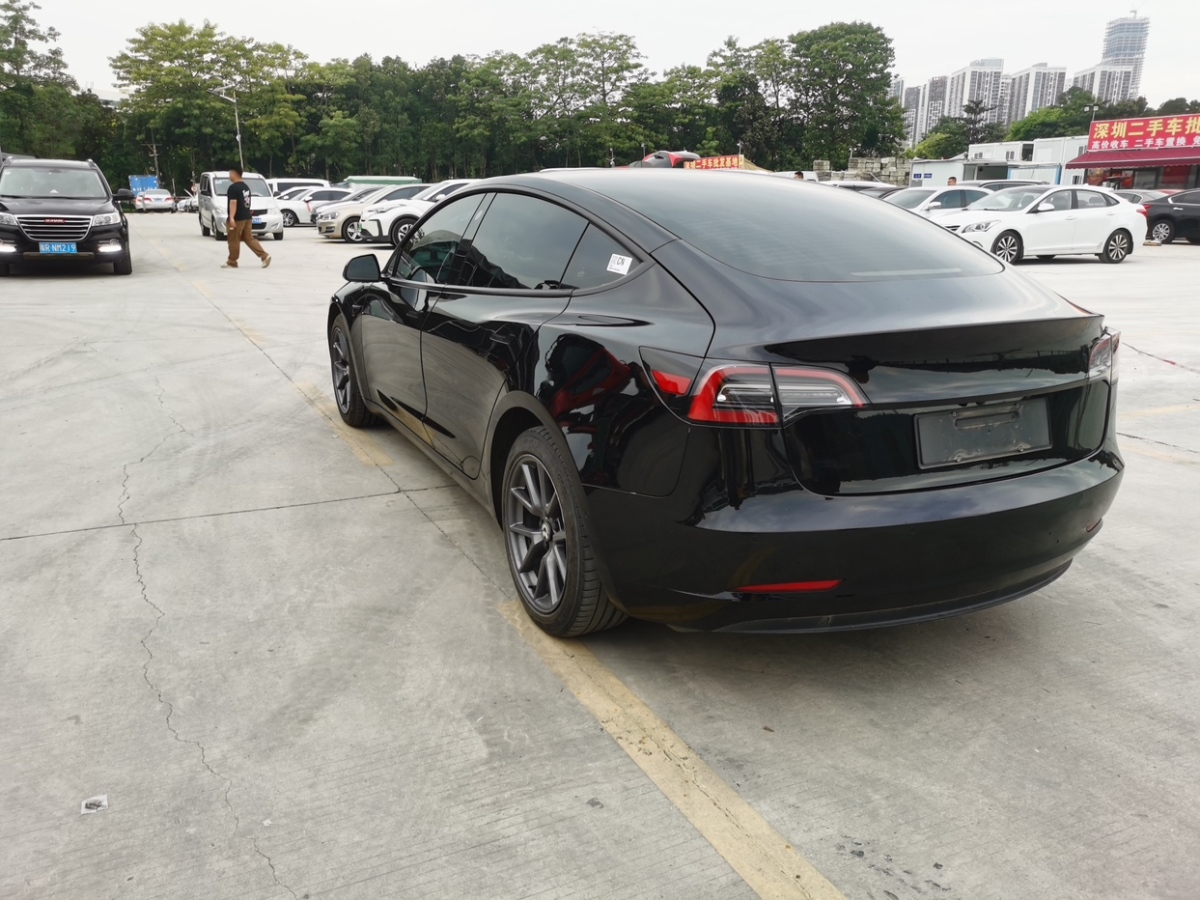 特斯拉 Model 3  2021款 標(biāo)準(zhǔn)續(xù)航后驅(qū)升級版 3D6圖片