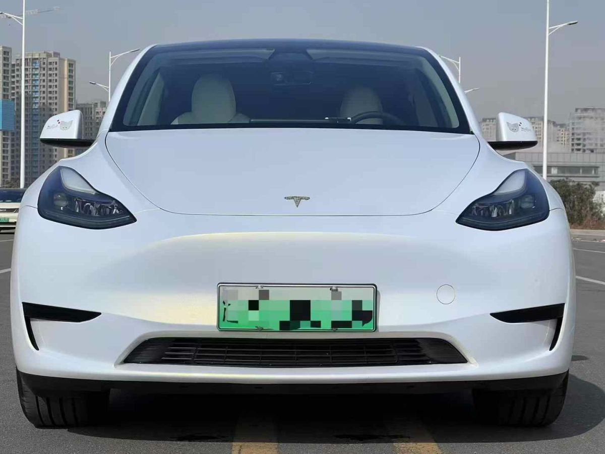 特斯拉 Model S  2023款 三電機(jī)全輪驅(qū)動(dòng) Plaid版圖片