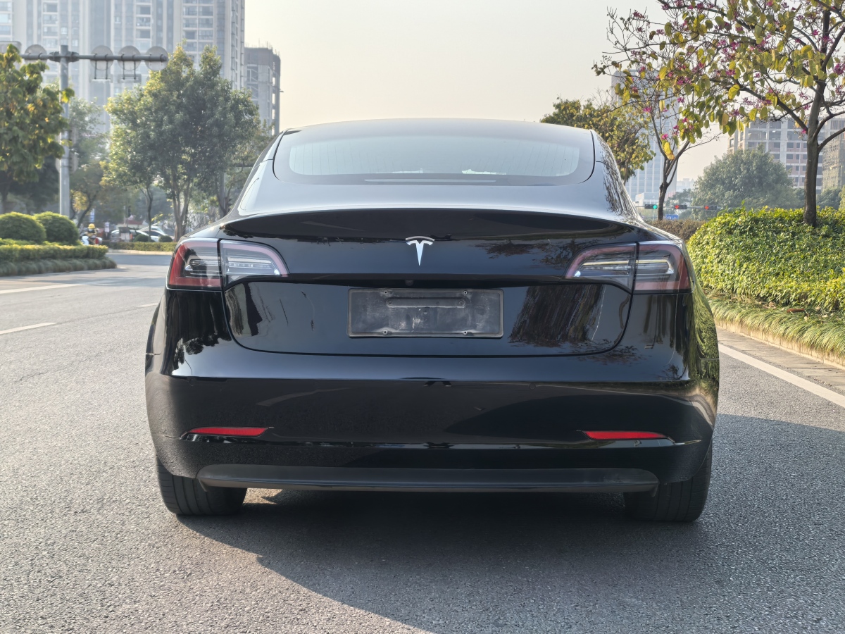 特斯拉 Model 3  2019款 標(biāo)準(zhǔn)續(xù)航后驅(qū)升級版圖片