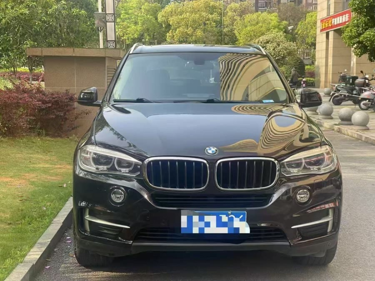 寶馬 寶馬X5  2014款 xDrive35i 領(lǐng)先型圖片
