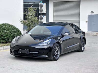 2021年3月 特斯拉 Model 3 標(biāo)準(zhǔn)續(xù)航后驅(qū)升級(jí)版 3D6圖片