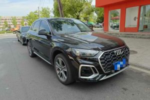 奧迪Q5 e-tron 奧迪 40 e-tron 星耀型 機(jī)甲套裝