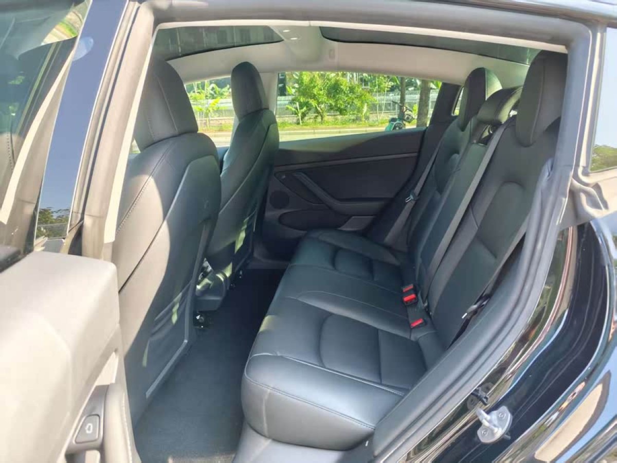 特斯拉 Model 3  2021款 改款 標準續(xù)航后驅(qū)升級版圖片