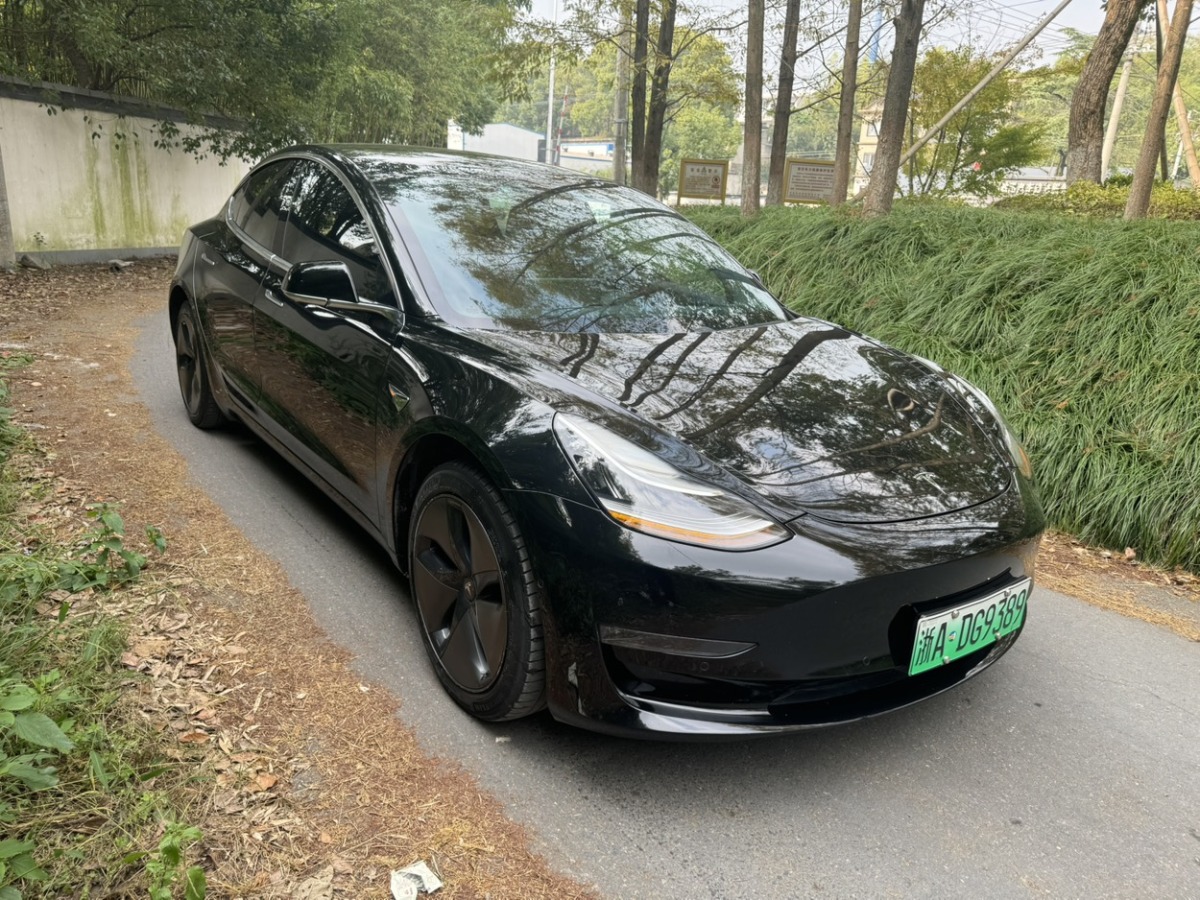 特斯拉 Model 3  2019款 長(zhǎng)續(xù)航后驅(qū)版圖片