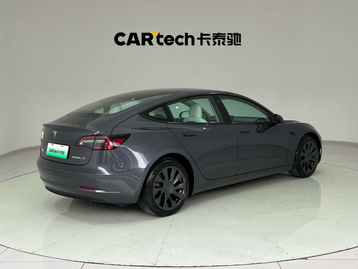 2023年3月特斯拉 Model 3  2022款 后輪驅(qū)動版