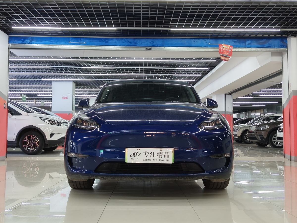 特斯拉 Model Y  2021款 改款 Performance高性能全輪驅(qū)動版圖片