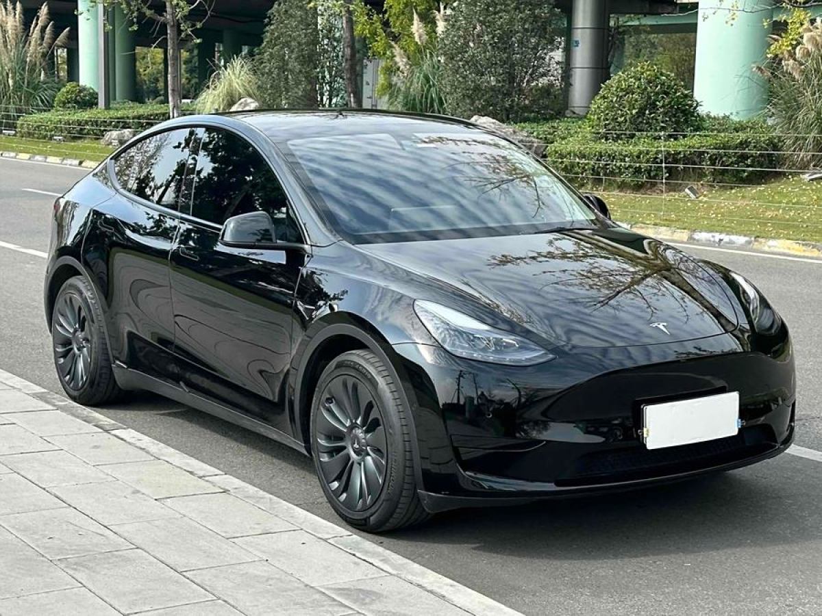 特斯拉 Model Y  2023款 長續(xù)航煥新版 雙電機全輪驅(qū)動圖片