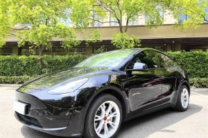 Model Y 特斯拉 改款 后輪驅(qū)動(dòng)版
