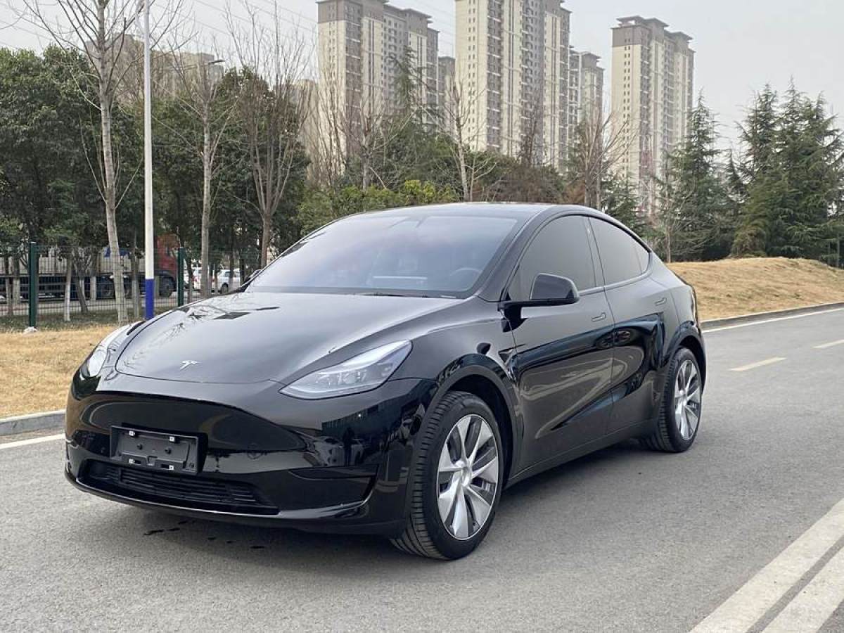 2023年1月特斯拉 Model 3  2020款 改款 長續(xù)航后輪驅(qū)動版