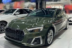 奧迪A5 奧迪 Sportback 40 TFSI 時(shí)尚致雅型