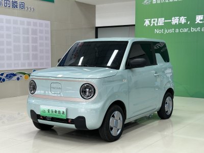 2023年9月 吉利 熊猫mini 200km 耐力熊图片