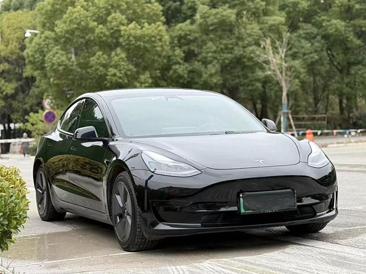 特斯拉 Model 3  2021款 改款 標準續(xù)航后驅(qū)升級版圖片