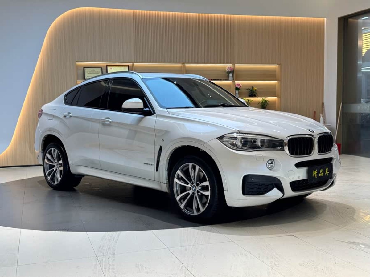 寶馬 寶馬X6  2017款 xDrive35i M豪華運動型圖片